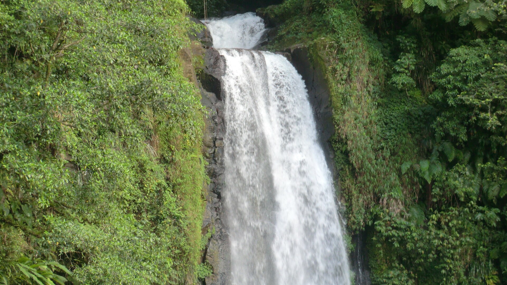 Trafalgar Falls in Morne Trois Pitons National Park, Dominica